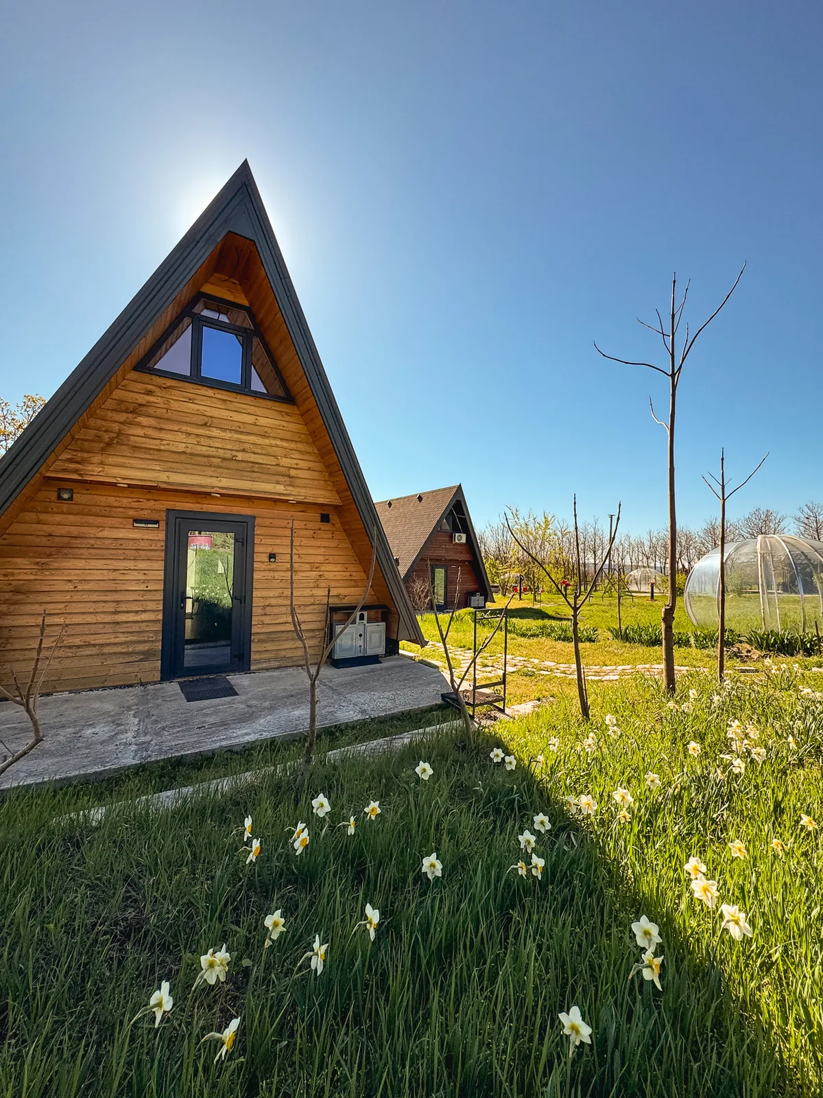 A-Frame 2+4, cu mansardă, ciubăr și BBQ — Saharna-Țiglău, Saharna — foto 9